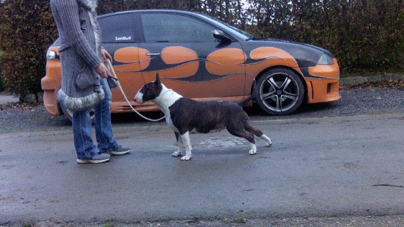 Idole de la Tribu Parisii